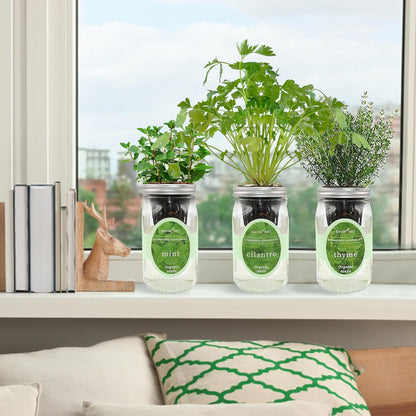 Indoor Hydroponic Herb Garden Kit - Self-Watering Mason Jars with Mint, Cilantro, Thyme