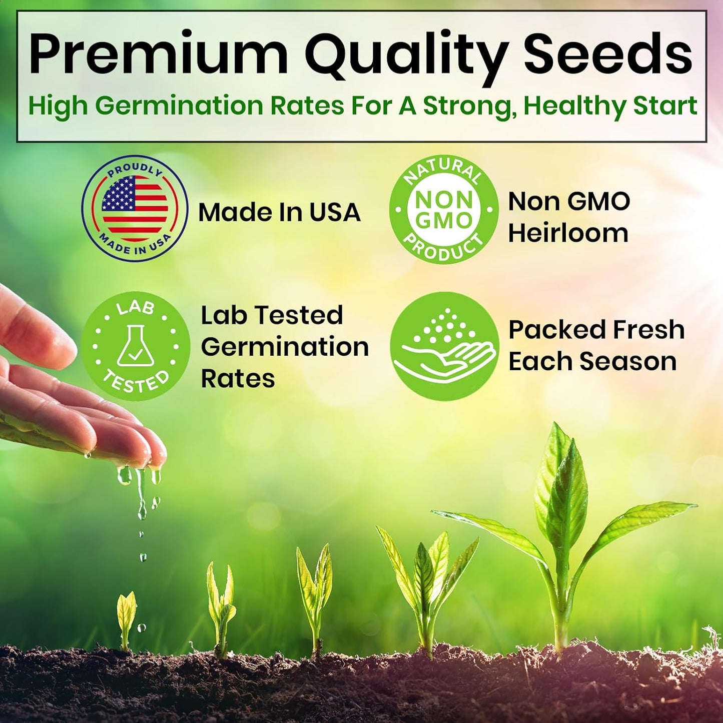 5 Heirloom Herb Seeds: Basil, Oregano, Parsley, Cilantro, Chives