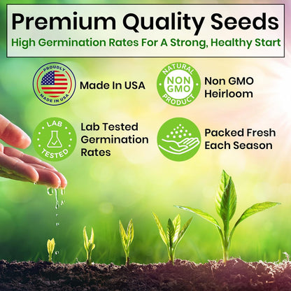 5 Heirloom Herb Seeds: Basil, Oregano, Parsley, Cilantro, Chives