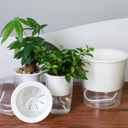 3-Pack 7" Clear Self-Watering Wicking Pots for Indoor Plants