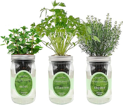 Indoor Hydroponic Herb Garden Kit - Self-Watering Mason Jars with Mint, Cilantro, Thyme