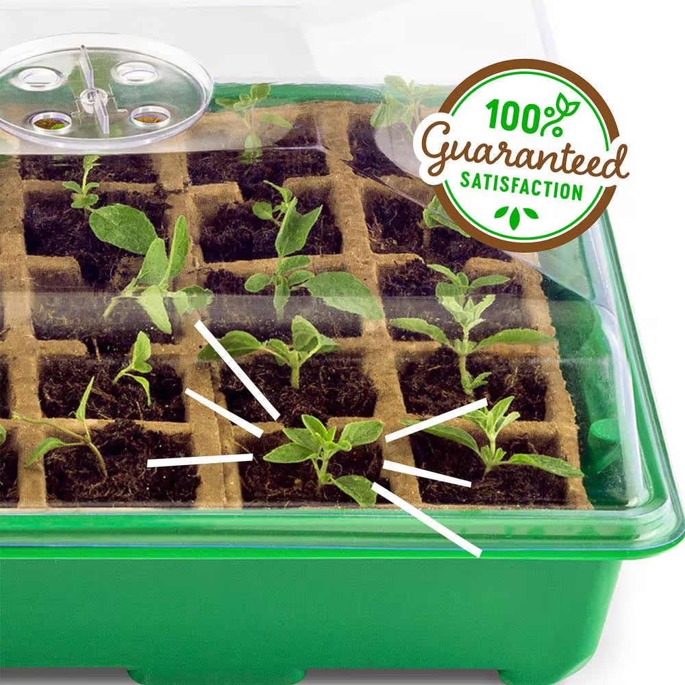 Eco-Friendly 50-Cell Greenhouse Seed Starter Kit for Healthy Germination