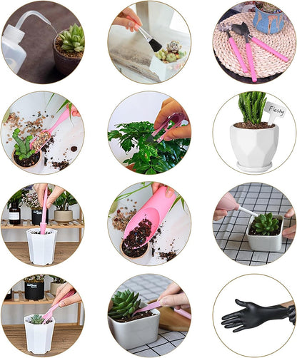 25-Pc Indoor Succulent & Plant Care Kit w/ 39.4" Repotting Mat
