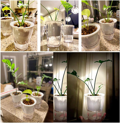 3-Pack 7" Clear Self-Watering Wicking Pots for Indoor Plants