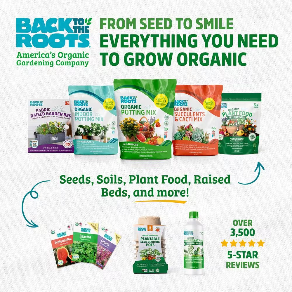 Eco-Friendly 50-Cell Greenhouse Seed Starter Kit for Healthy Germination