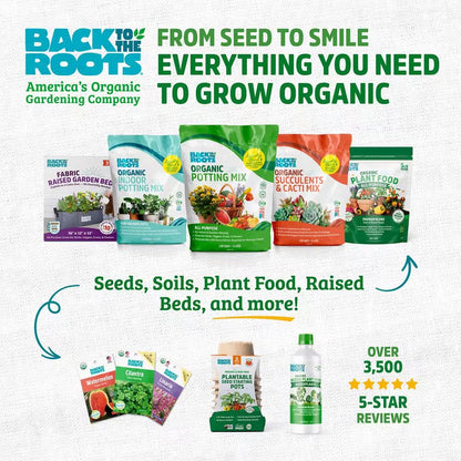 Eco-Friendly 50-Cell Greenhouse Seed Starter Kit for Healthy Germination