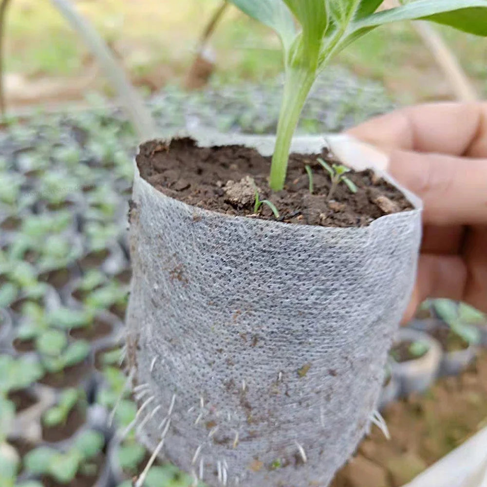 Biodegradable Non-Woven Grow Bags for Seedling & Plant Starts