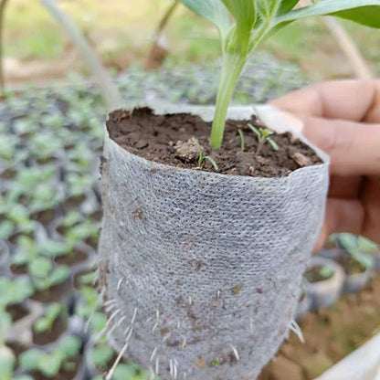 Biodegradable Non-Woven Grow Bags for Seedling & Plant Starts
