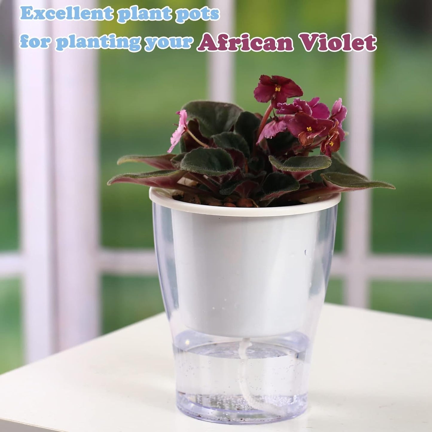 3-Pack 7" Clear Self-Watering Wicking Pots for Indoor Plants