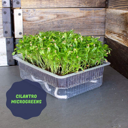 Mountain Valley Self-Watering Indoor Microgreen Kit - Soil-Based