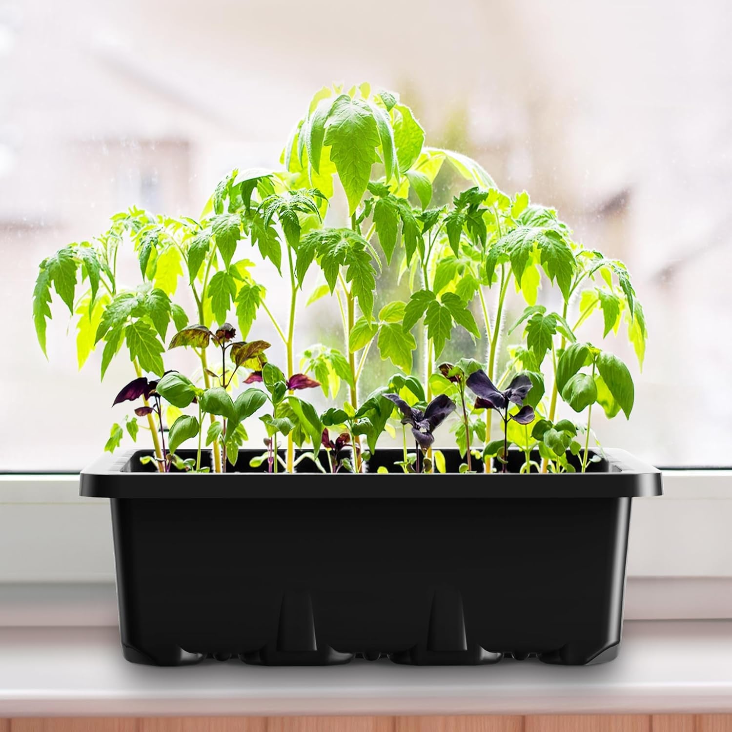 10-Pack 120-Cell Seed Starter Kit with Humidity Dome & Base