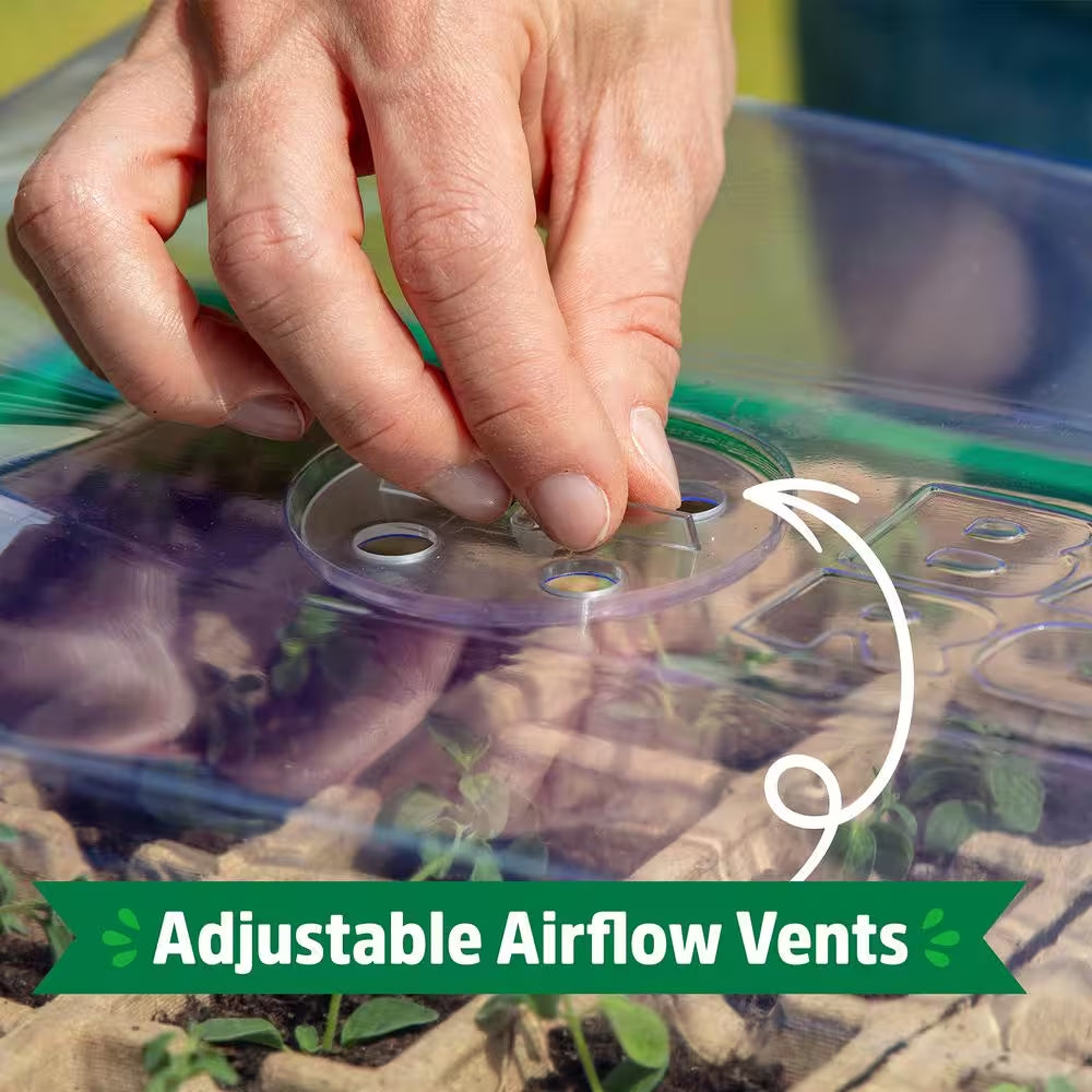 Eco-Friendly 50-Cell Greenhouse Seed Starter Kit for Healthy Germination