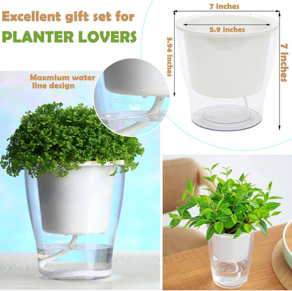 3-Pack 7" Clear Self-Watering Wicking Pots for Indoor Plants