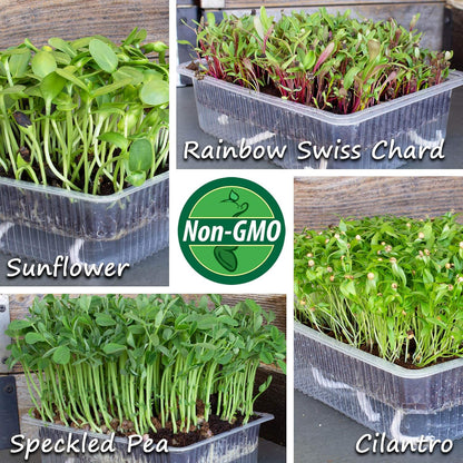 Mountain Valley Self-Watering Indoor Microgreen Kit - Soil-Based