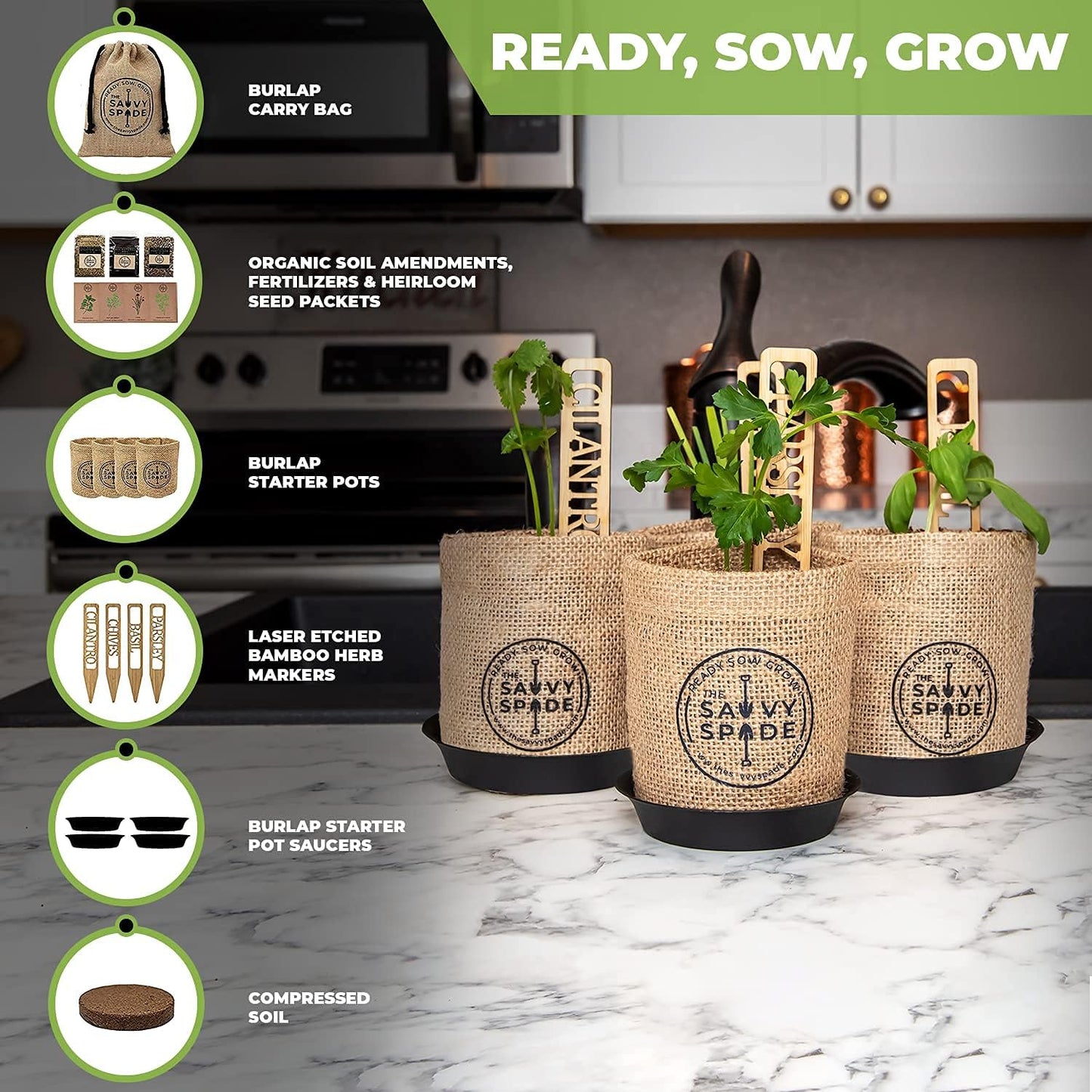 Indoor Herb Garden Starter Kit - Non-GMO Basil, Cilantro, Parsley, Oregano