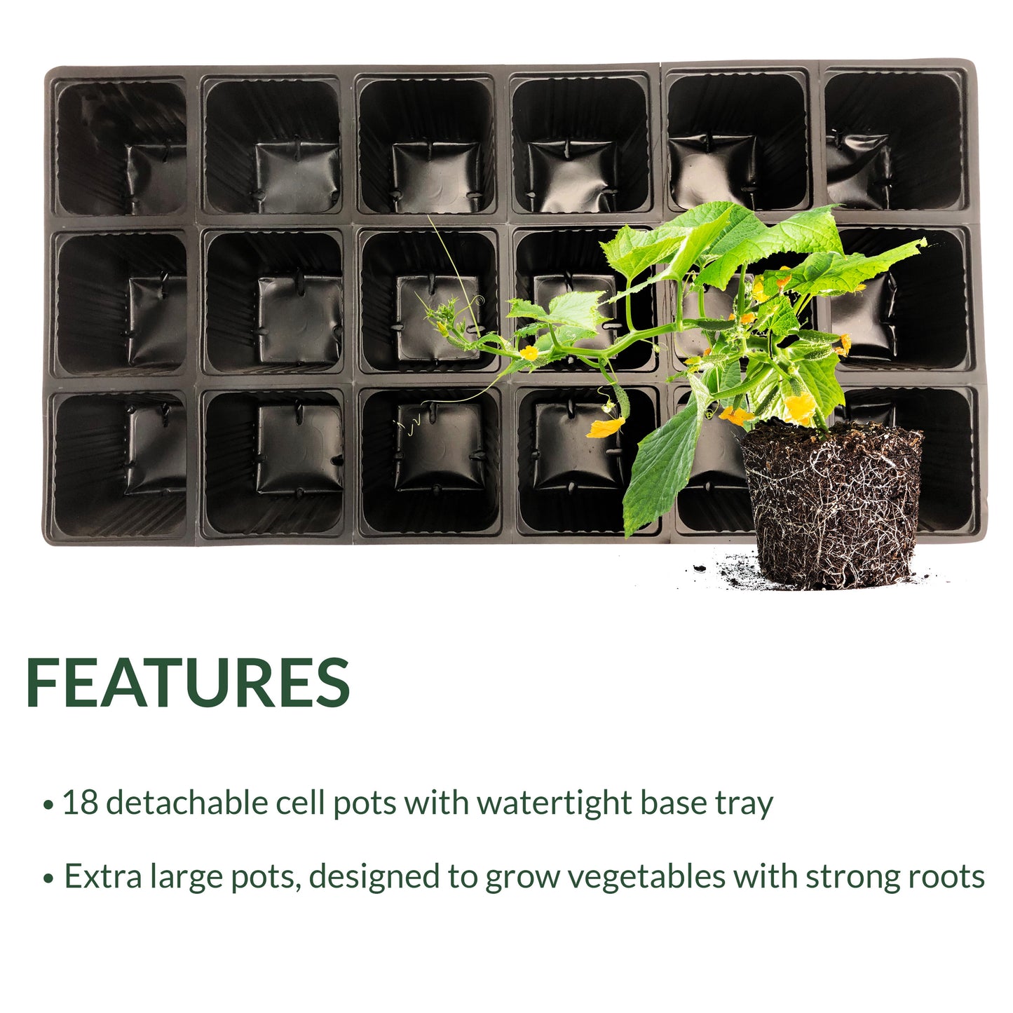 Ferry-Morse 18-Cell Seed Starting Tray | Reusable Recycled Plastic