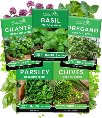 5 Heirloom Herb Seeds: Basil, Oregano, Parsley, Cilantro, Chives
