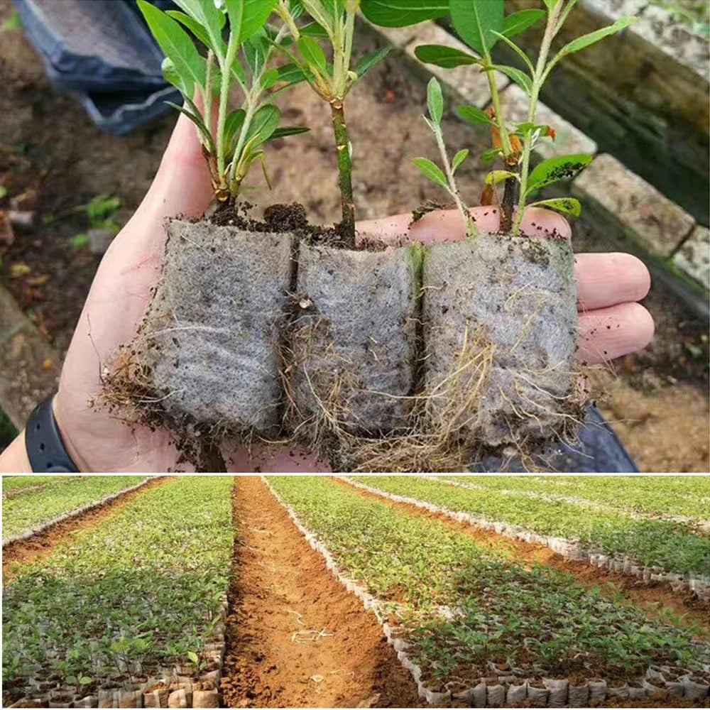 Biodegradable Non-Woven Grow Bags for Seedling & Plant Starts