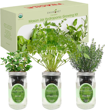 Indoor Hydroponic Herb Garden Kit - Self-Watering Mason Jars with Mint, Cilantro, Thyme