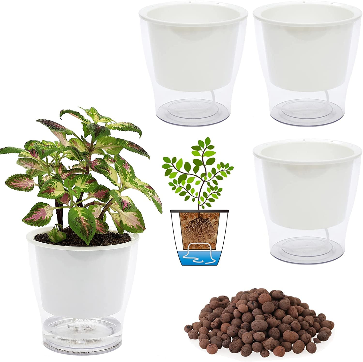 3-Pack 7" Clear Self-Watering Wicking Pots for Indoor Plants