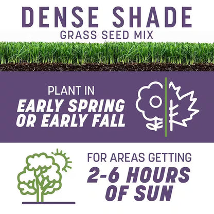Smart Seed Dense Shade Grass Seed and Lawn Fertilizer, 7 lbs, Covers 1,750 Sq. Ft.