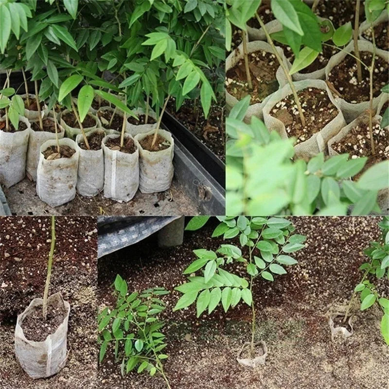 Biodegradable Non-Woven Grow Bags for Seedling & Plant Starts