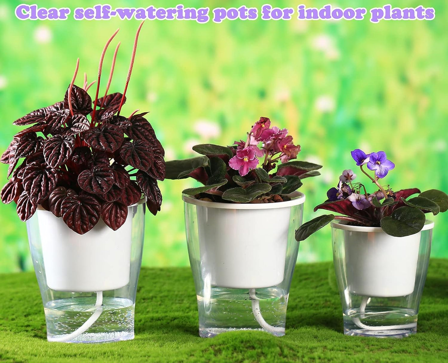3-Pack 7" Clear Self-Watering Wicking Pots for Indoor Plants