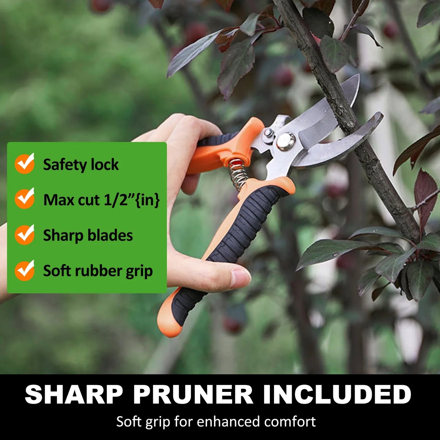 10-Pc Garden Tool Set: Stainless Tools, Folding Stool & Carry Tote