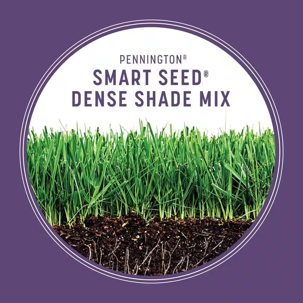 Smart Seed Dense Shade Grass Seed and Lawn Fertilizer, 7 lbs, Covers 1,750 Sq. Ft.