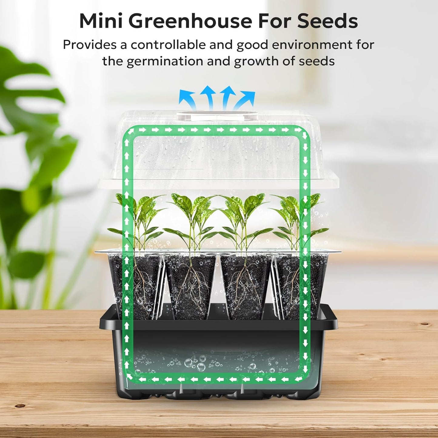 10-Pack 120-Cell Seed Starter Kit with Humidity Dome & Base