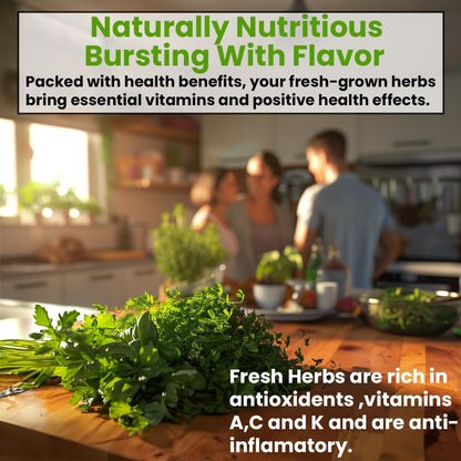 5 Heirloom Herb Seeds: Basil, Oregano, Parsley, Cilantro, Chives