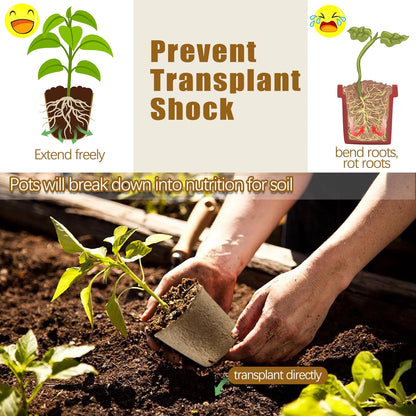 120-Pack 3.15" Biodegradable Peat Pots for Seed Starting & Root Growth