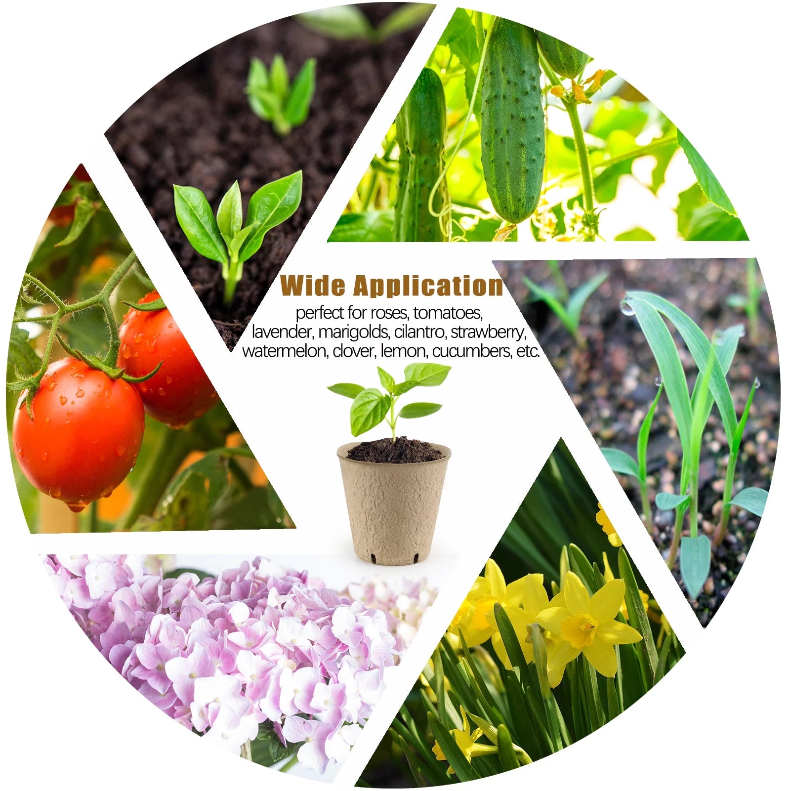 120-Pack 3.15" Biodegradable Peat Pots for Seed Starting & Root Growth