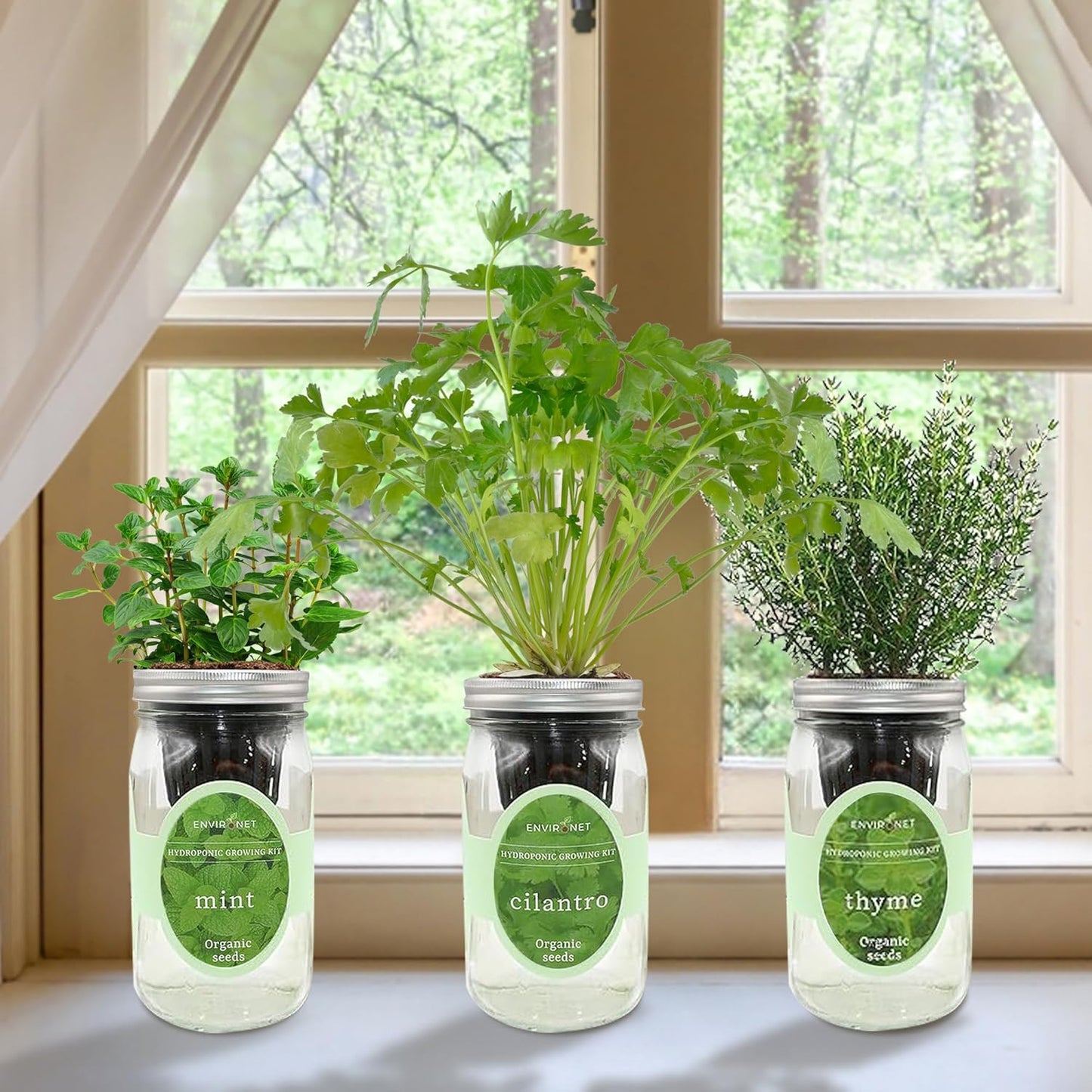 Indoor Hydroponic Herb Garden Kit - Self-Watering Mason Jars with Mint, Cilantro, Thyme